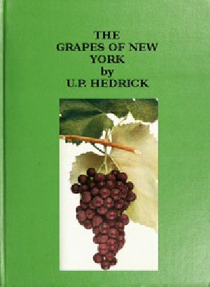 [Gutenberg 45978] • The Grapes of New York